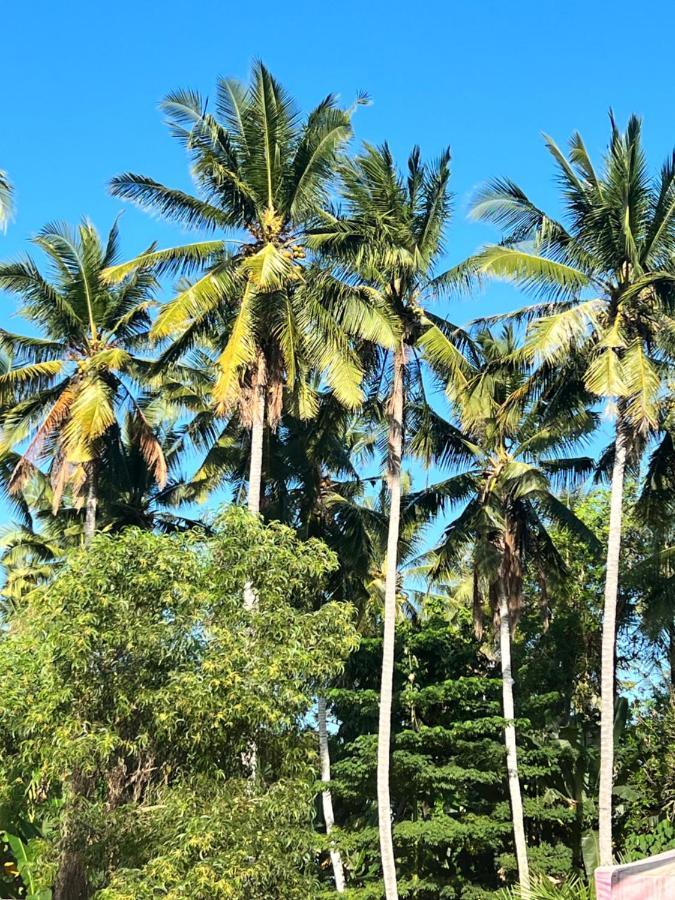 Hotel Naia Lombok Kuta  Zewnętrze zdjęcie